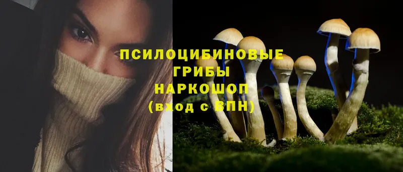 Галлюциногенные грибы MAGIC MUSHROOMS  Курск 